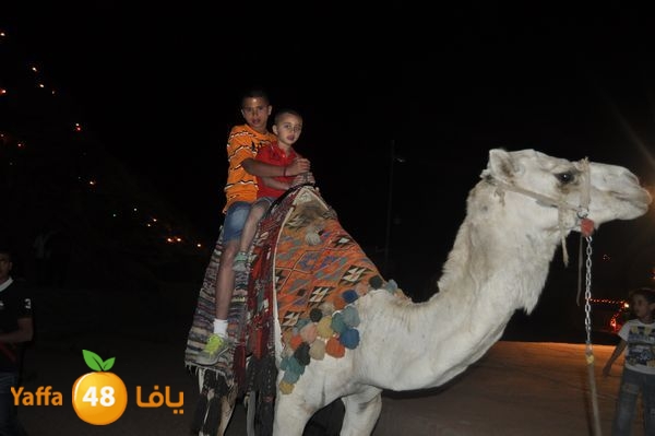 sharmelskhe8634 (5).jpg